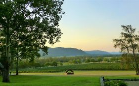 Winmark Wines